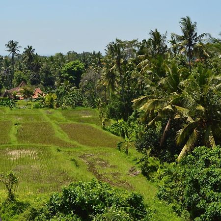 Askara Guest House & Hostel Ubud  Bagian luar foto